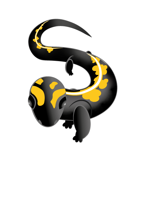 Création et flocage du logo Salamandria